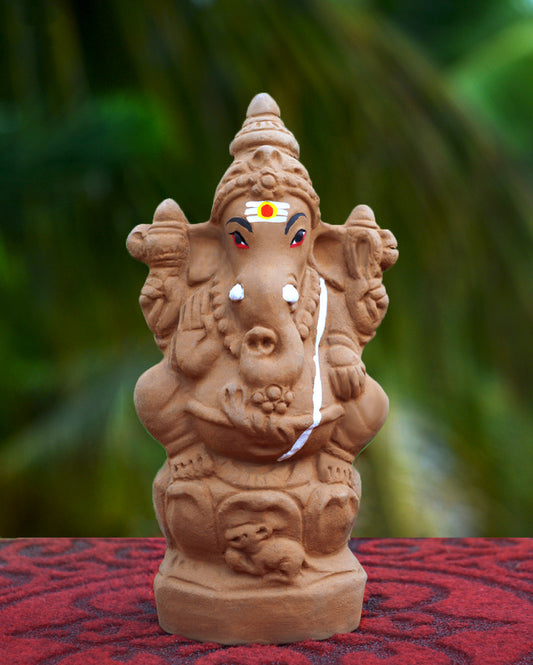 7.5" Seed Ganapathy | With Grow bag, Cocopeat & Extra seeds