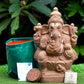 12" Seed Ganapathy | With Grow bag, Cocopeat & Extra seeds