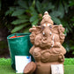 11" Seed Ganapathy | With Grow bag, Cocopeat & Extra seeds
