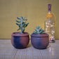 Terracotta & Jute Hanging cum Desktop Planters (Set of 2)