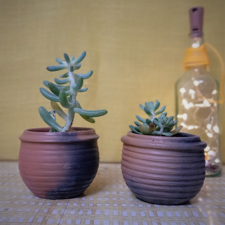 Terracotta & Jute Hanging cum Desktop Planters (Set of 2)