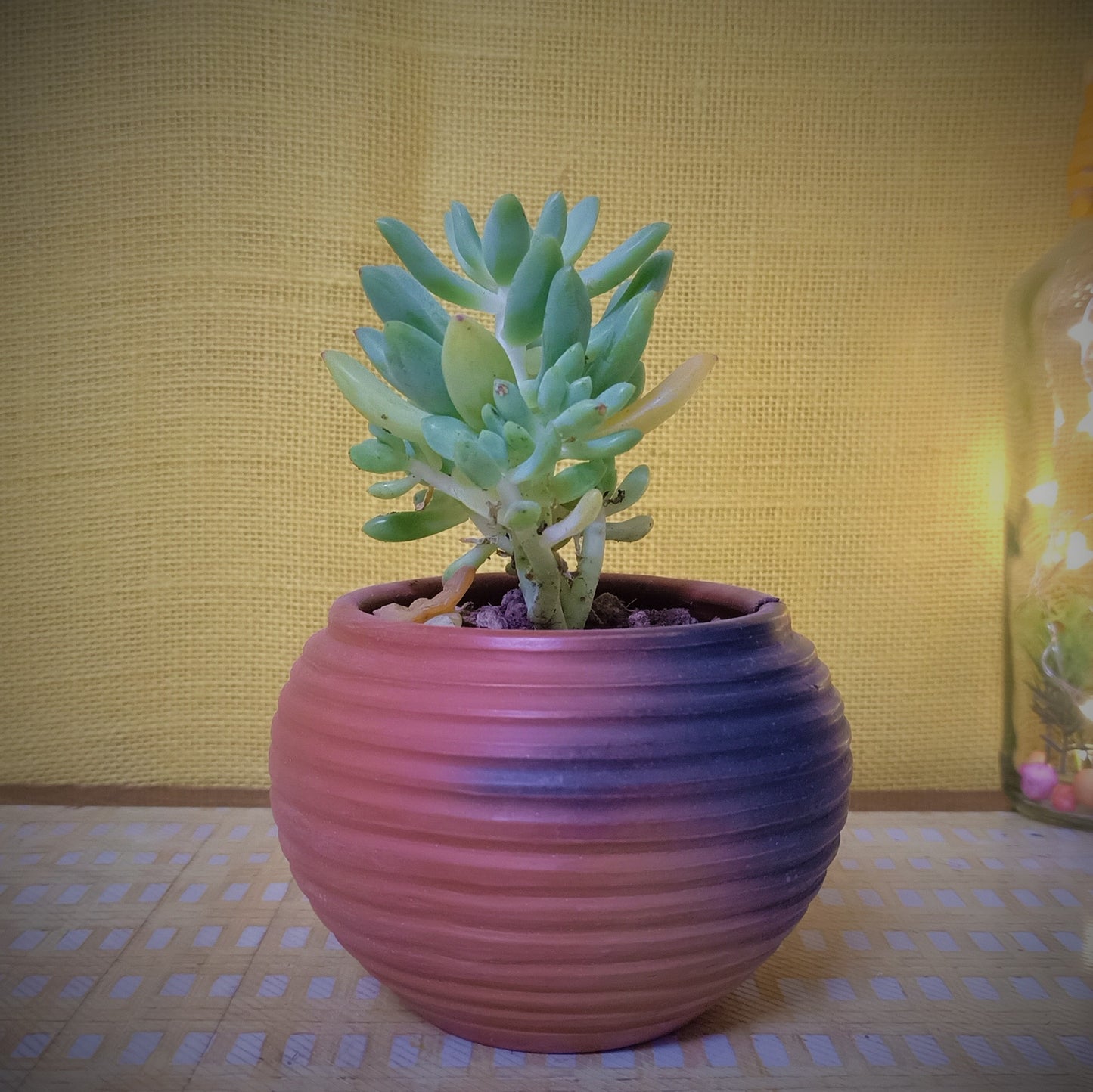 Terracotta & Jute Hanging cum Desktop Planters Round (Set of 2)