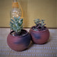 Terracotta & Jute Hanging cum Desktop Planters Round (Set of 2)