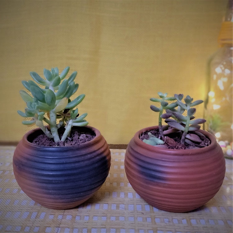 Terracotta & Jute Hanging cum Desktop Planters Round (Set of 2)