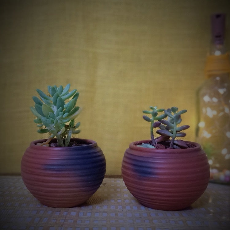 Terracotta & Jute Hanging cum Desktop Planters Round (Set of 2)