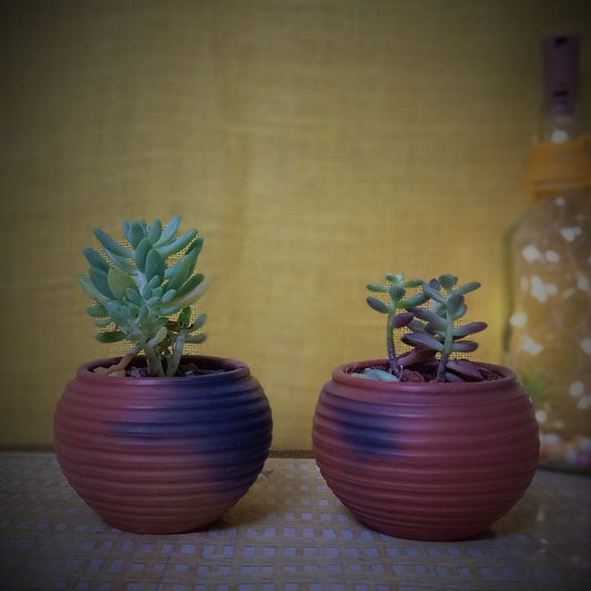 Terracotta & Jute Hanging cum Desktop Planters Round (Set of 2)