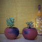 Terracotta & Jute Hanging cum Desktop Planters Round (Set of 2)