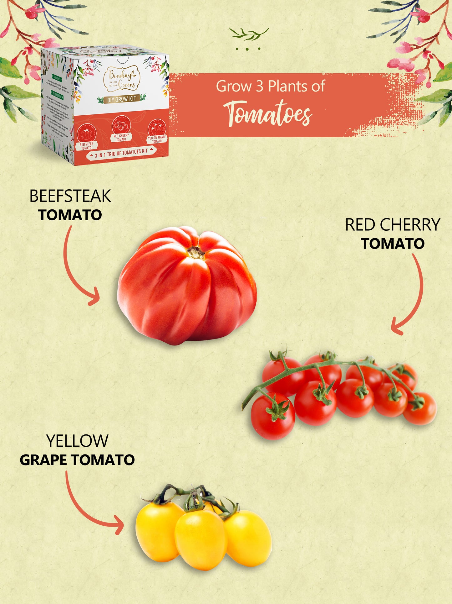 Tomato Kit – Grow Beefsteak, Red Cherry, Yellow Grape Tomatoes