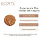 Body Loofah | For Gentle Exfoliation | Natural Loofah | Set of 2