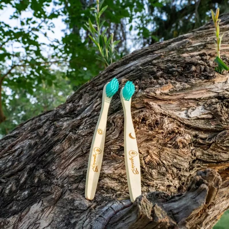 Organic B’s Neem Wood Organic Toothbrush for Kids (Wooden Holder Free)