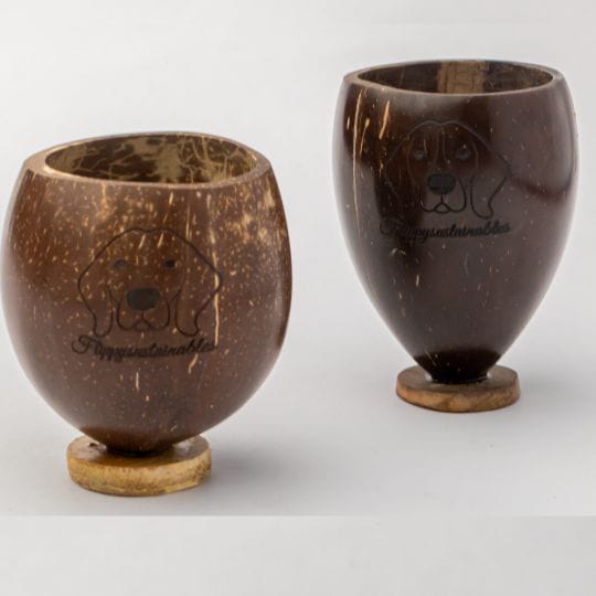 Coconut Shell Shot Glass
