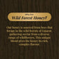 Natural Wildforest Honey