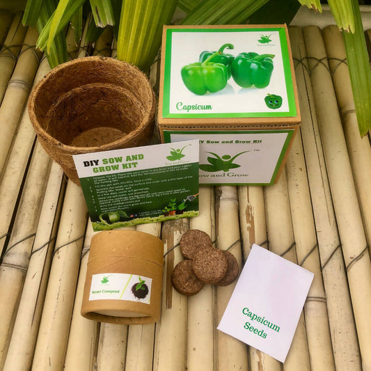 DIY Gardening Kit of Capsicum (Grow it Yourself Vegetable Kit)