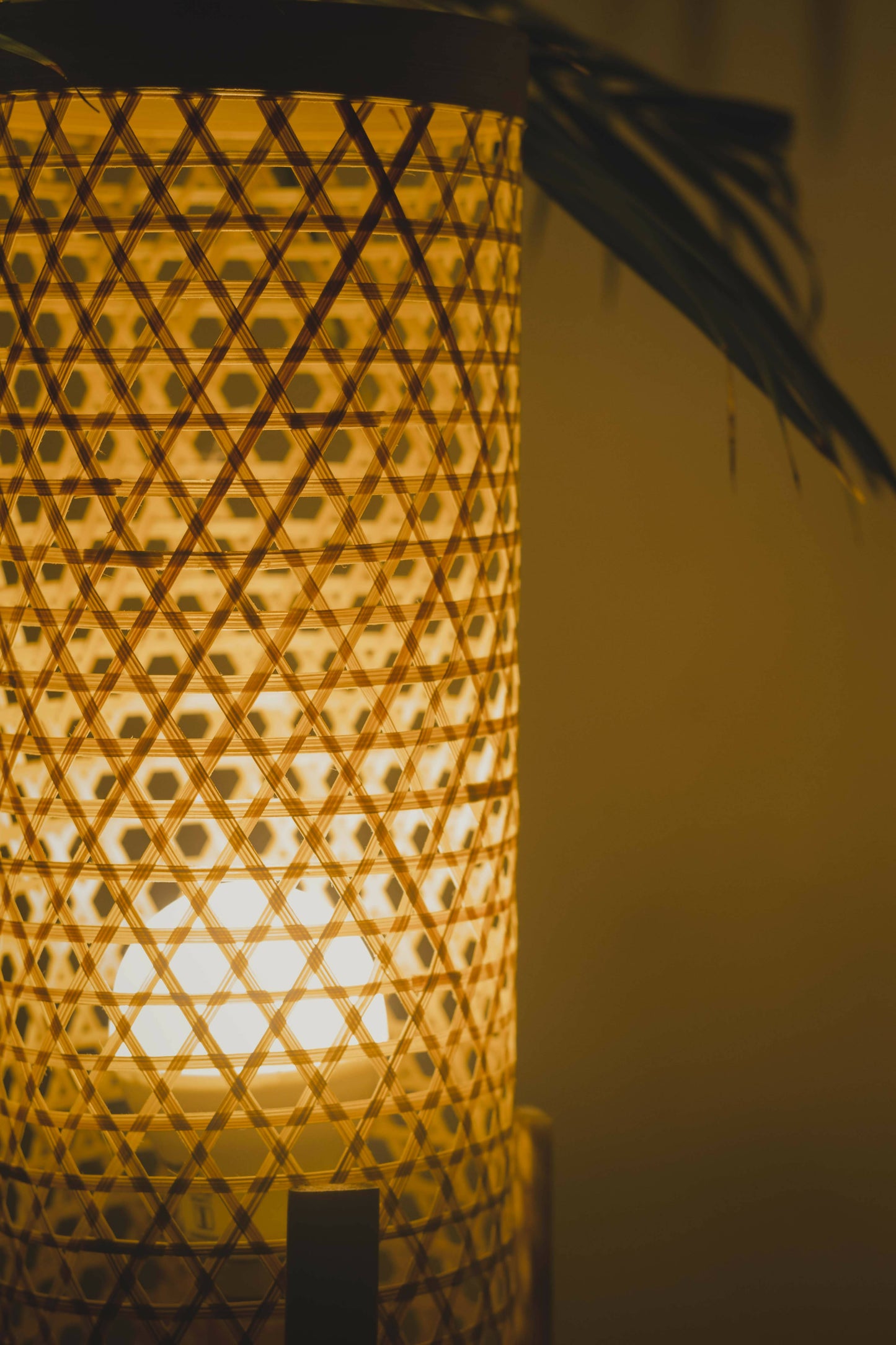 Bamboo Lamp (Big)