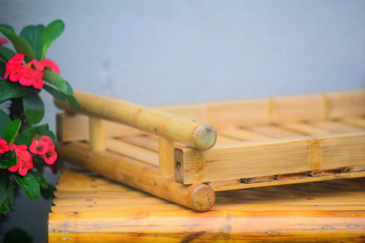 BAMBOO TRAY
