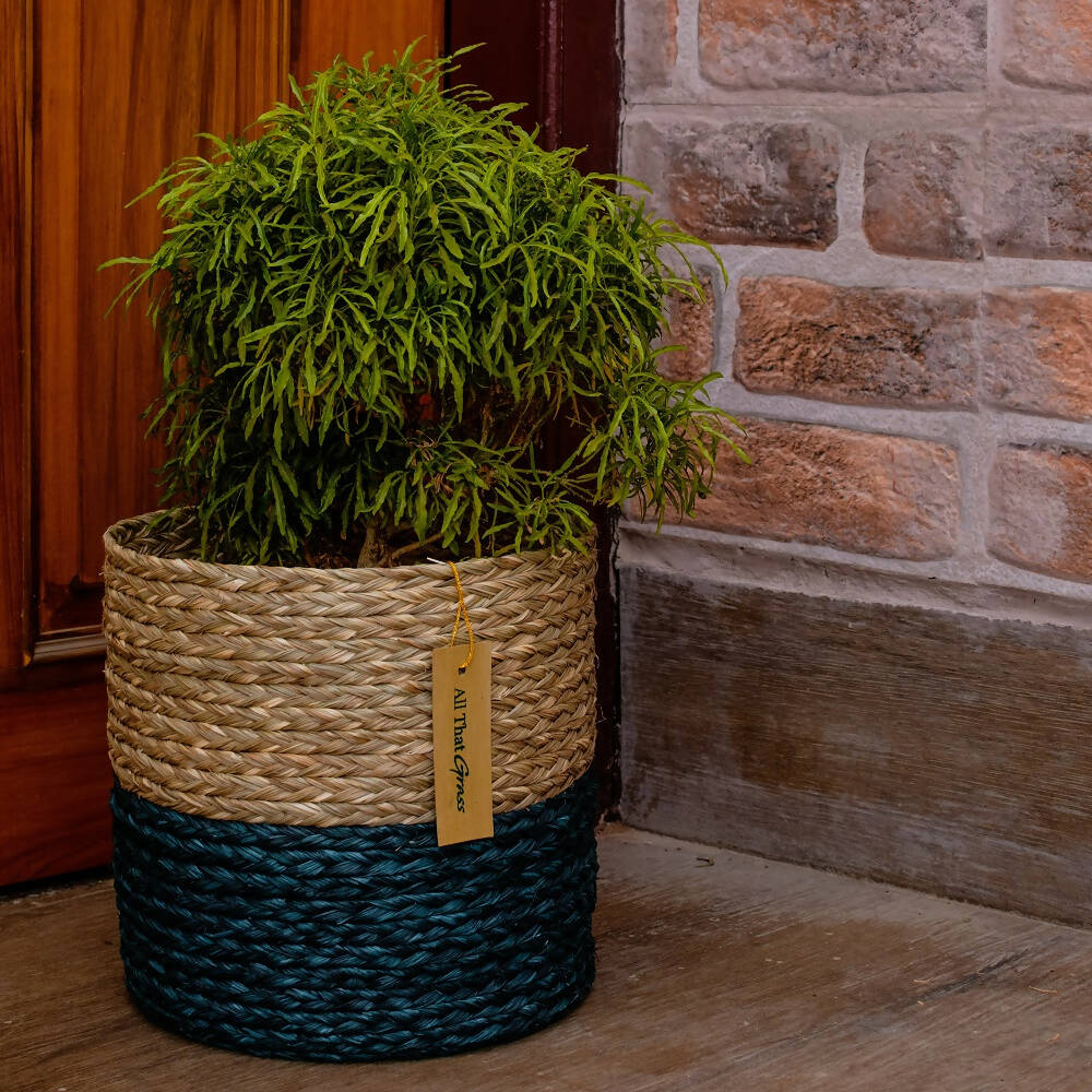 Sabai Indigo Planter