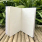 Brown Box Collection: 5 Seed Paper Pencils + 1 Seed Diary + 1 Seed ball