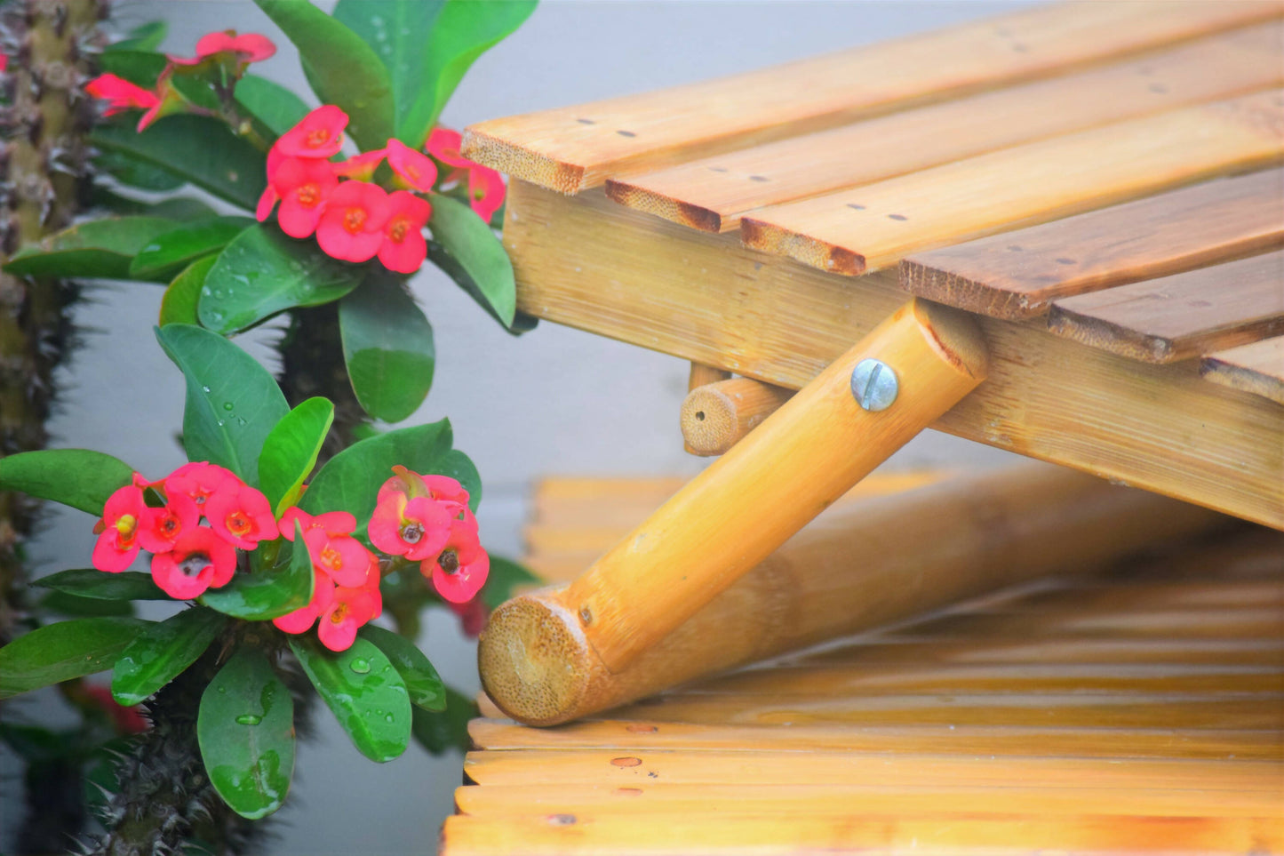 BAMBOO WORK SET (LAPTOP STAND + AMPLIFIER)