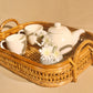 Cane/Rattan Organiser