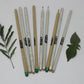 Seed Pencils