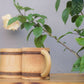 BAMBOO COFFEE MUG - SET OF 4
