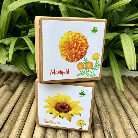 DIY Gardening Flower Kits | Marigold + Sunflower