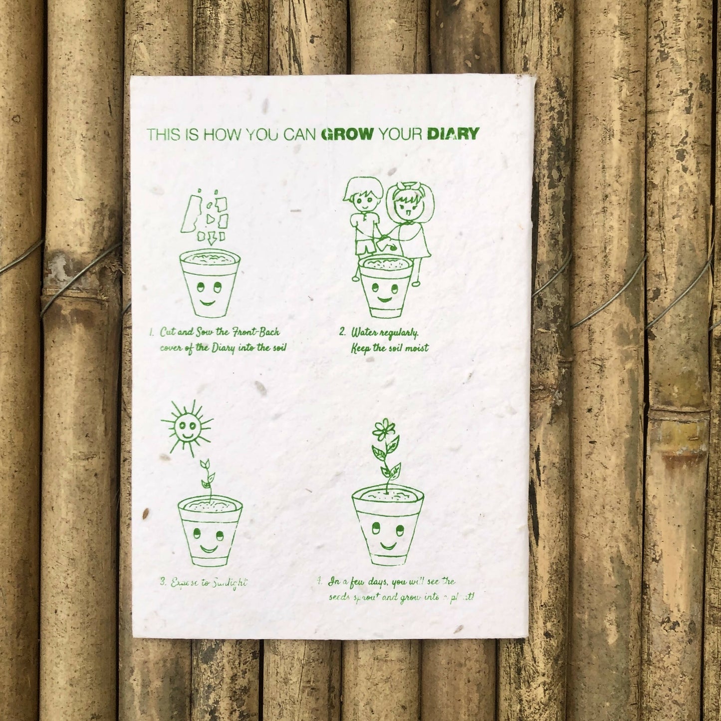 Brown Box Collection: 5 Seed Paper Pencils + 1 Seed Diary + 1 Seed ball