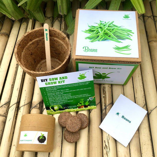 DIY Gardening Kit of Beans (Grow it Yourself Vegetable Kit)