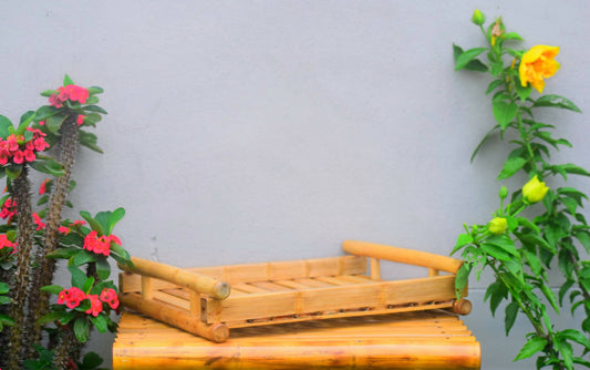 BAMBOO TRAY
