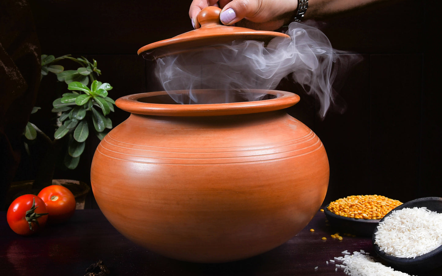 Biryani Handi