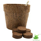 DIY Gardening Kit of Karela/ Bitter Gourd (Grow it Yourself Vegetable Kit)