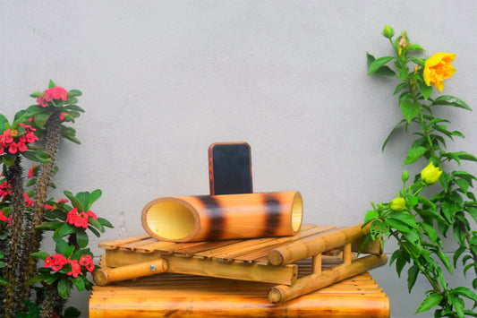 BAMBOO WORK SET (LAPTOP STAND + AMPLIFIER)