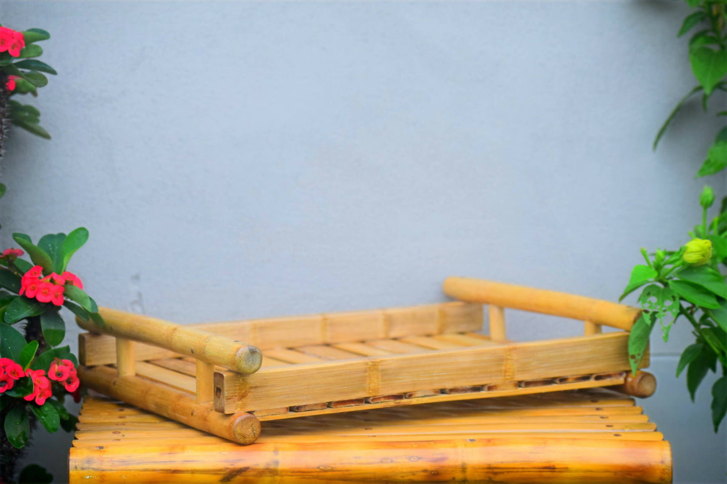 BAMBOO TRAY