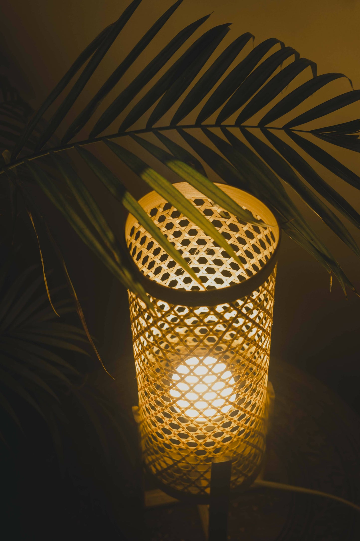 Bamboo Lamp (Big)