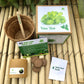 DIY Gardening Kit of Italian Basil Genovese (Grow it Yourself Herb Kit)