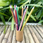 Brown Box Collection: 10 Seed Colour Pencils + 1 Seed Diary + 1 Seed ball
