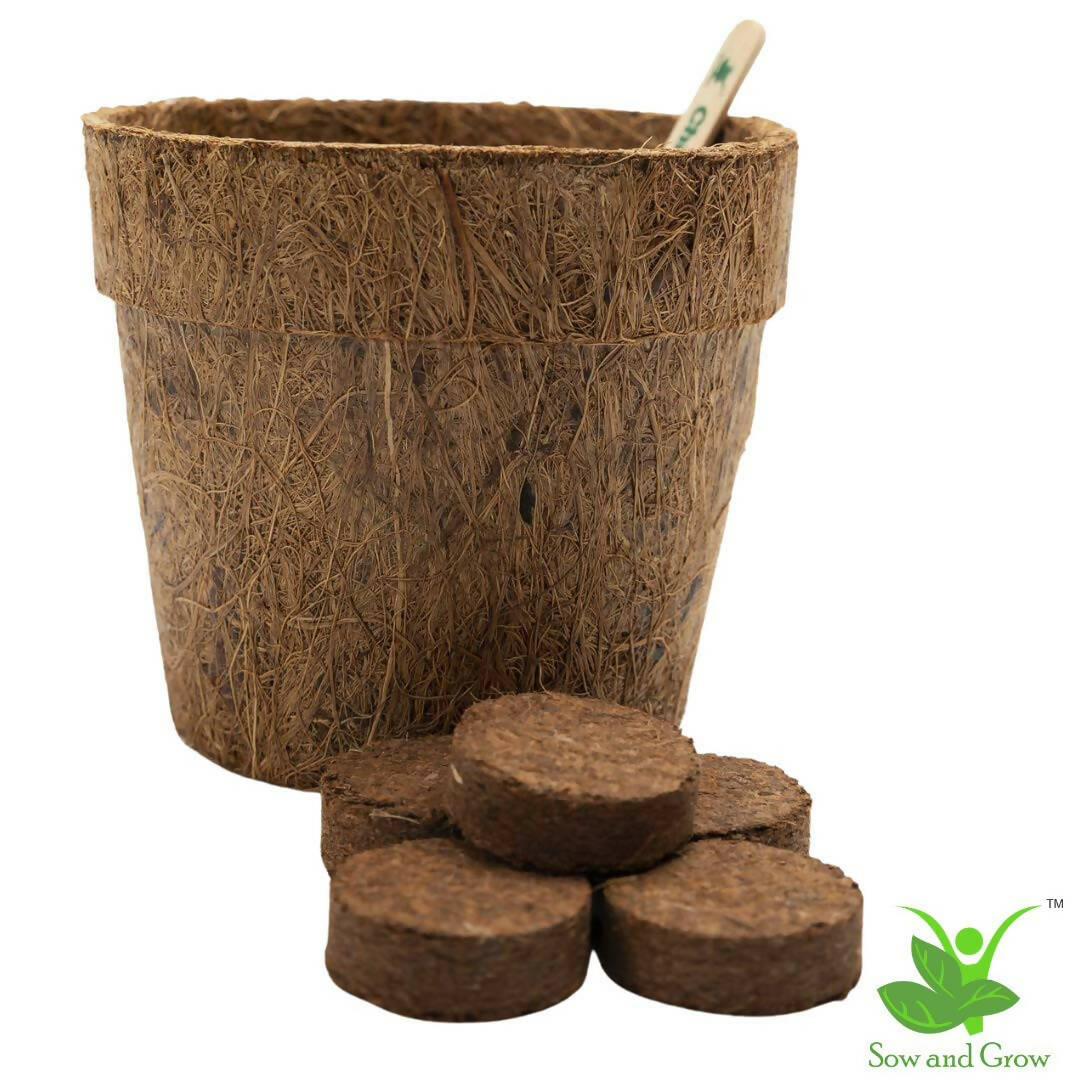 DIY Gardening Kit of Tulsi / Holy Basil (Grow it Yourself Kit)