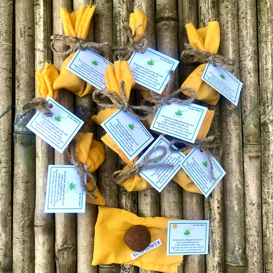 10 Plantable Seed Balls with Sunflower seeds
